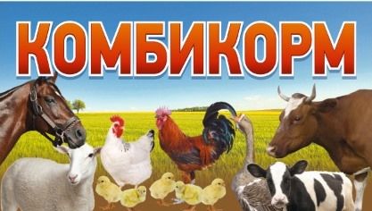 У нас широкий выбор КОМБИКОРМОВ для КРС, МРС, свиней, кур-несушек, бройлеров, цыплят, перепелов, уток, гусей, индюков, кроликов.