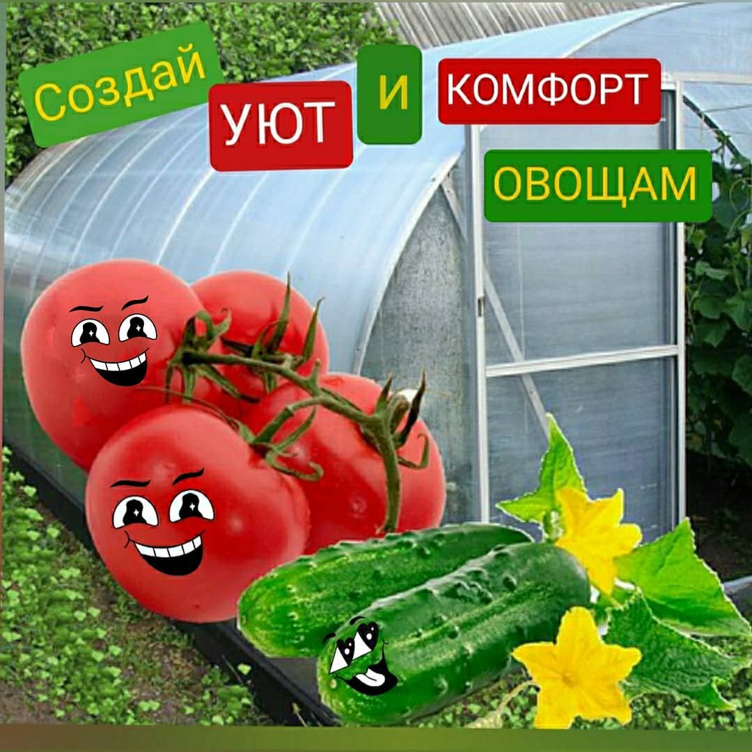 ​​? ЗАКАЖИ ТЕПЛИЦУ ОНЛАЙН!