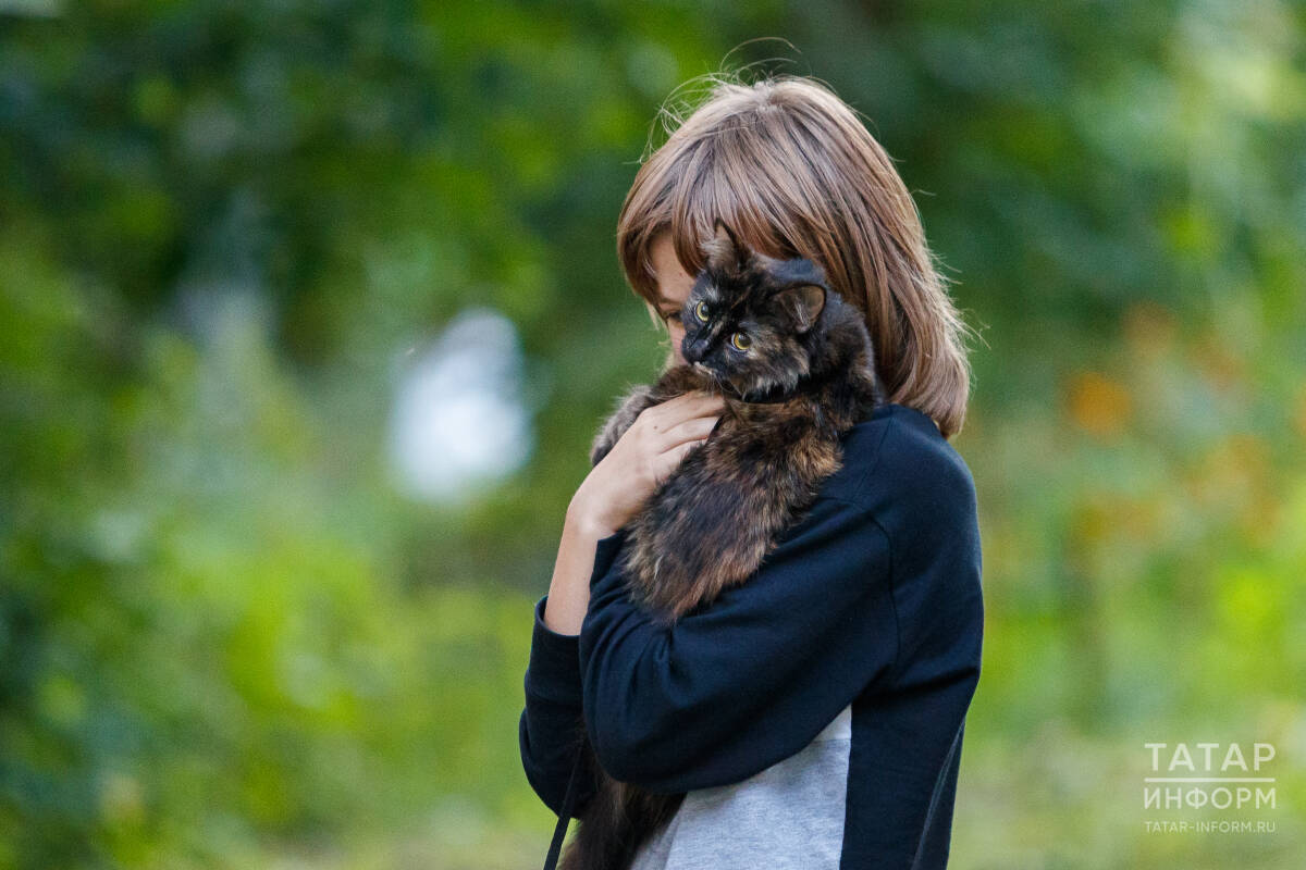 Фото: © Владимир Васильев / «Татар-информ»