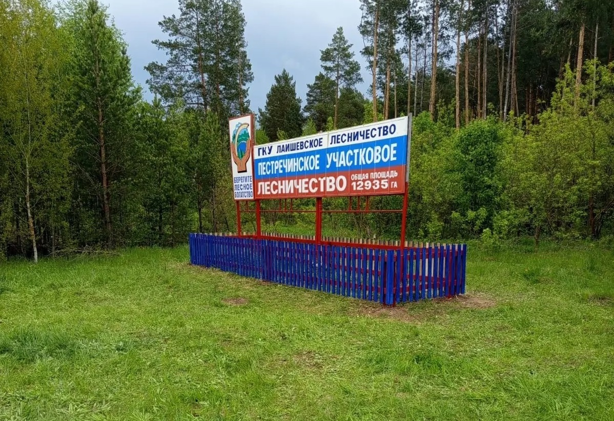 Граница лесничества.