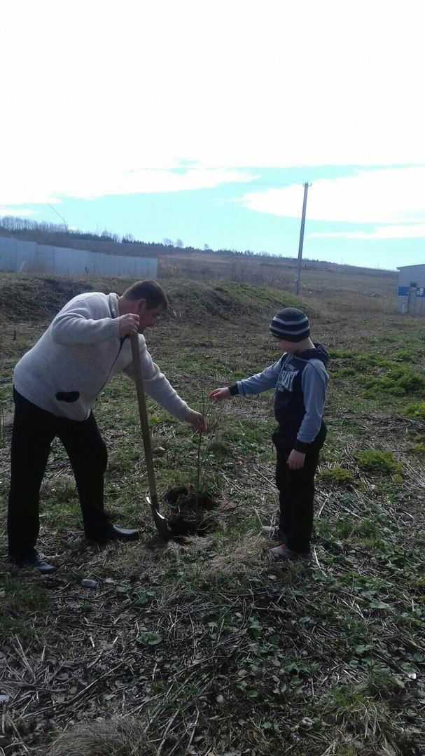 Совет отцов в Пестречинском районе занялся посадкой деревьев и кустарников