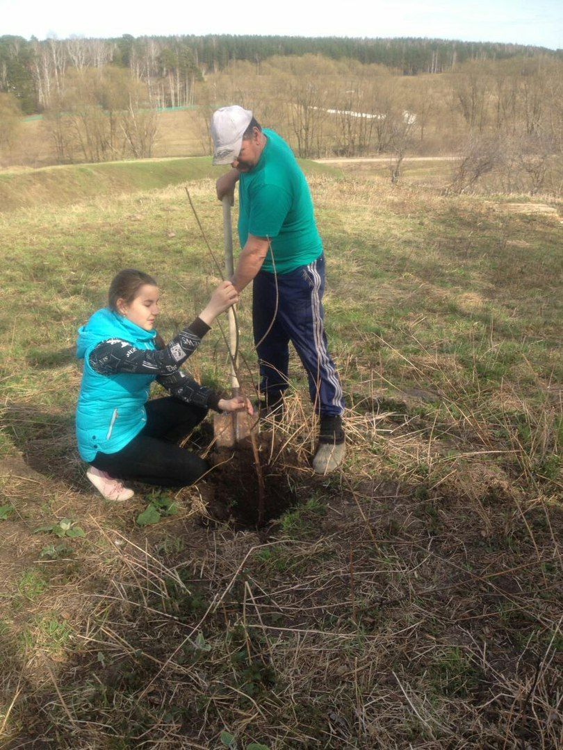 Совет отцов в Пестречинском районе занялся посадкой деревьев и кустарников