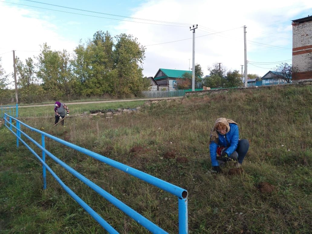 Ковалинцы приняли участие в акции “Посади дерево”