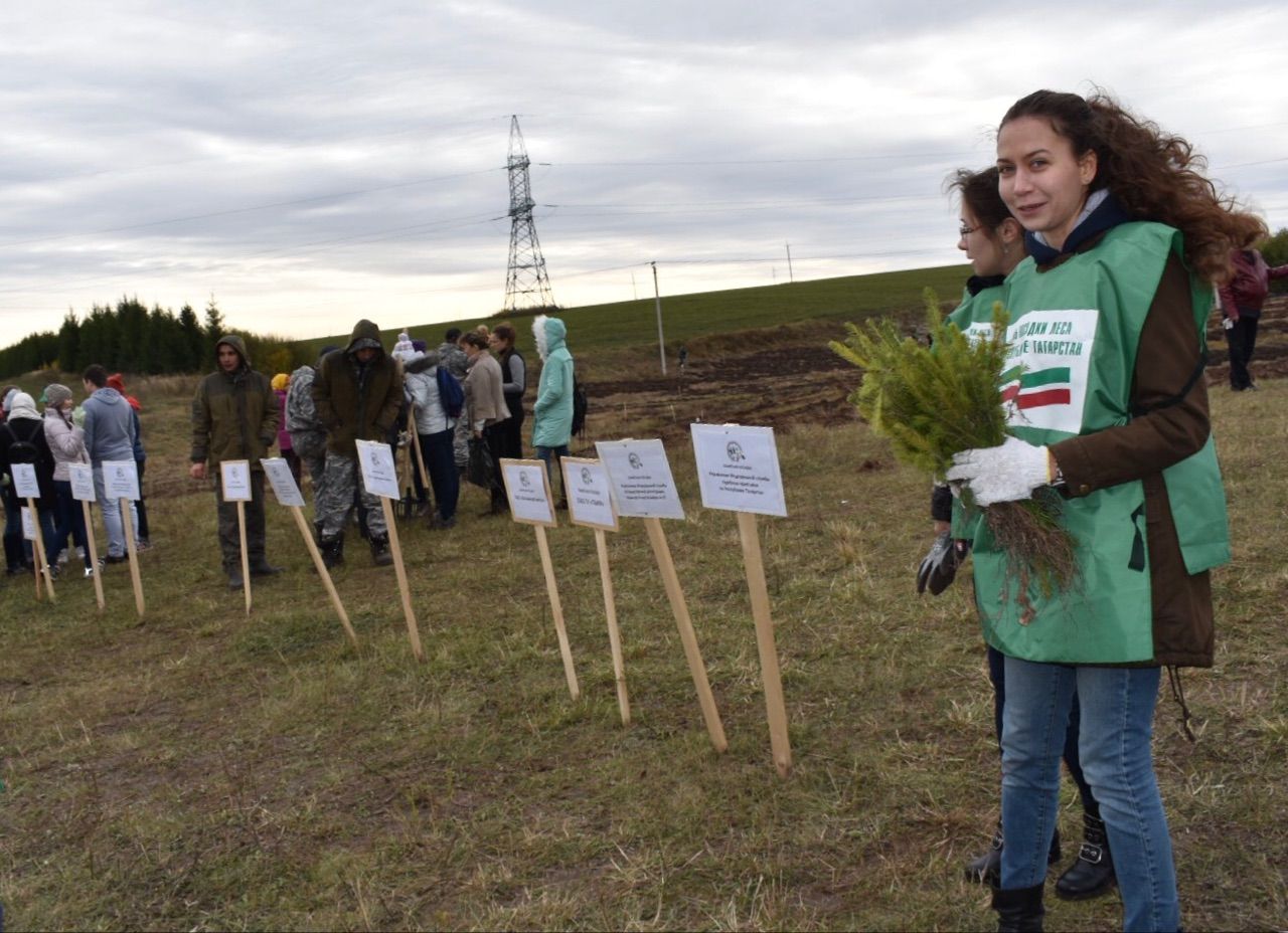 День посадки леса собрал в Пестречинском районе около двух тысяч участников
