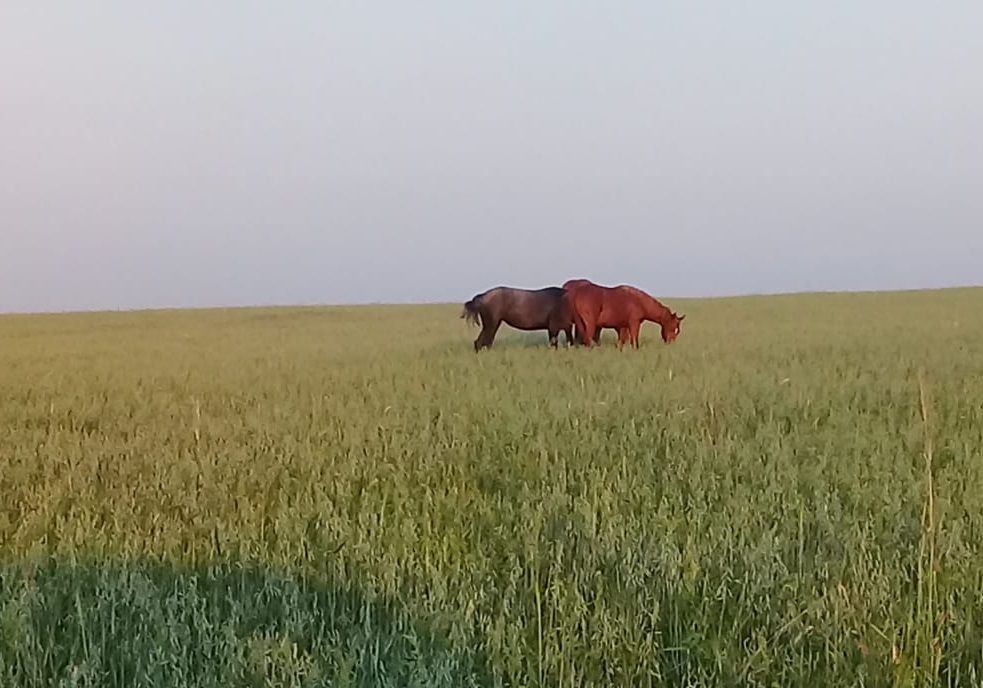 За что можно получить штраф?