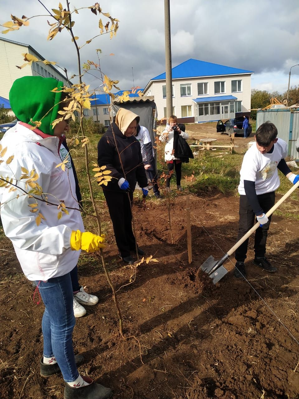 В будущем парке села Ленино-Кокушкино посадили рябины