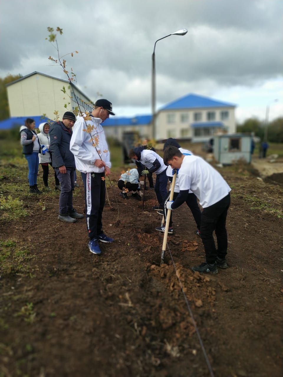 В будущем парке села Ленино-Кокушкино посадили рябины