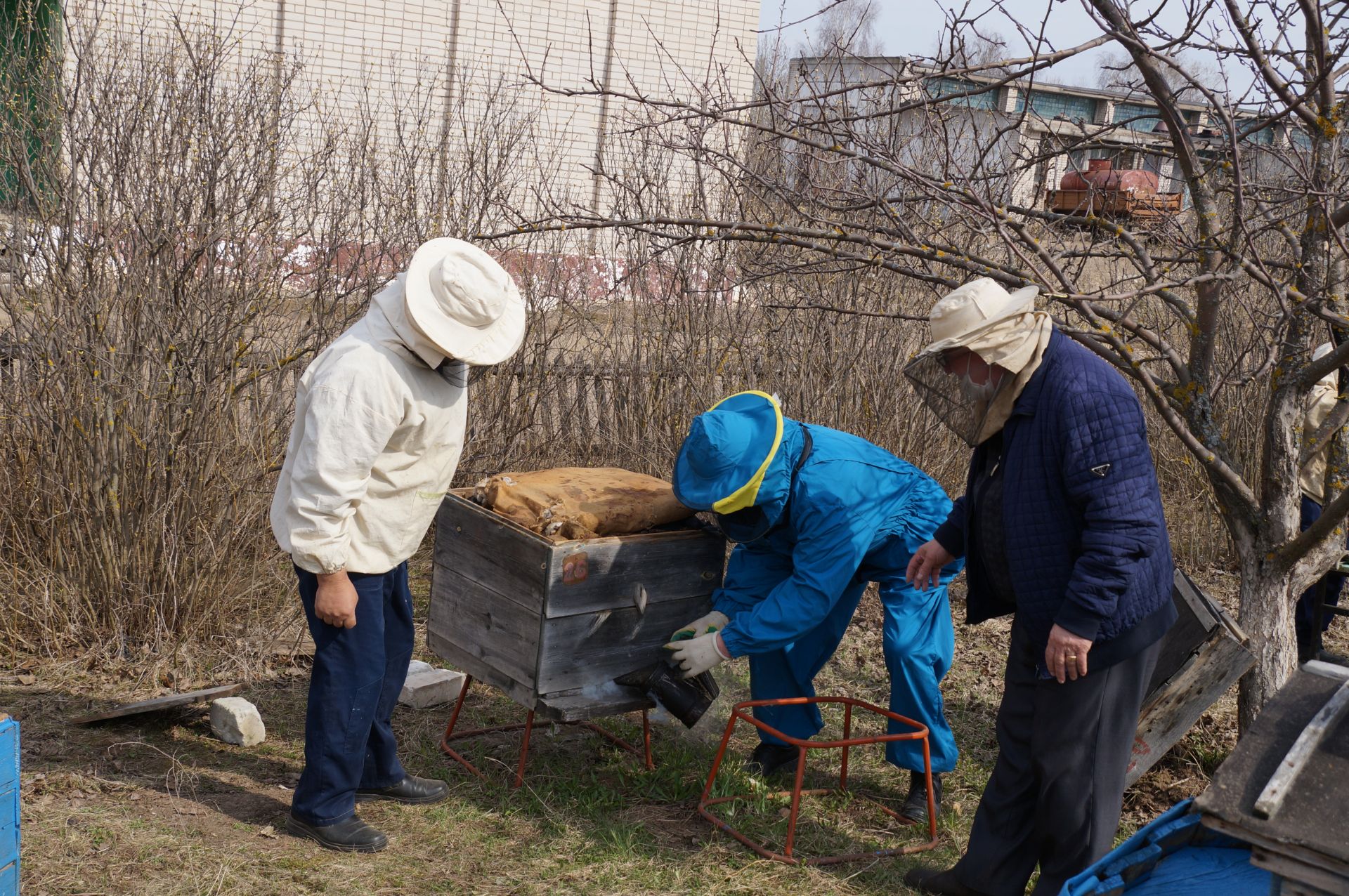 В Пестречинском районе насчитывается 3928 пчелосемей, ими заняты 234 пчеловода