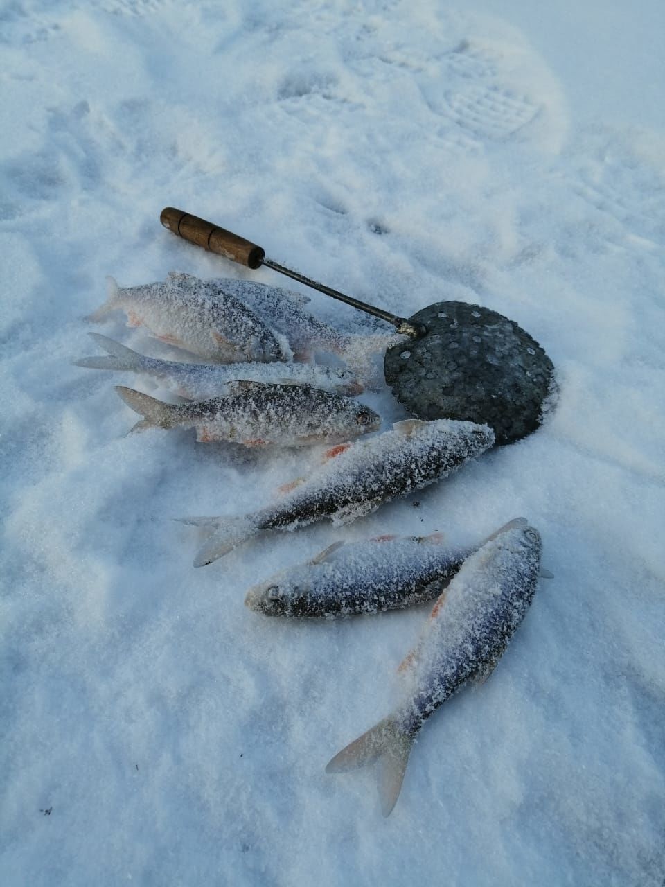 Пестречинцы зимние каникулы проводят на рыбалке