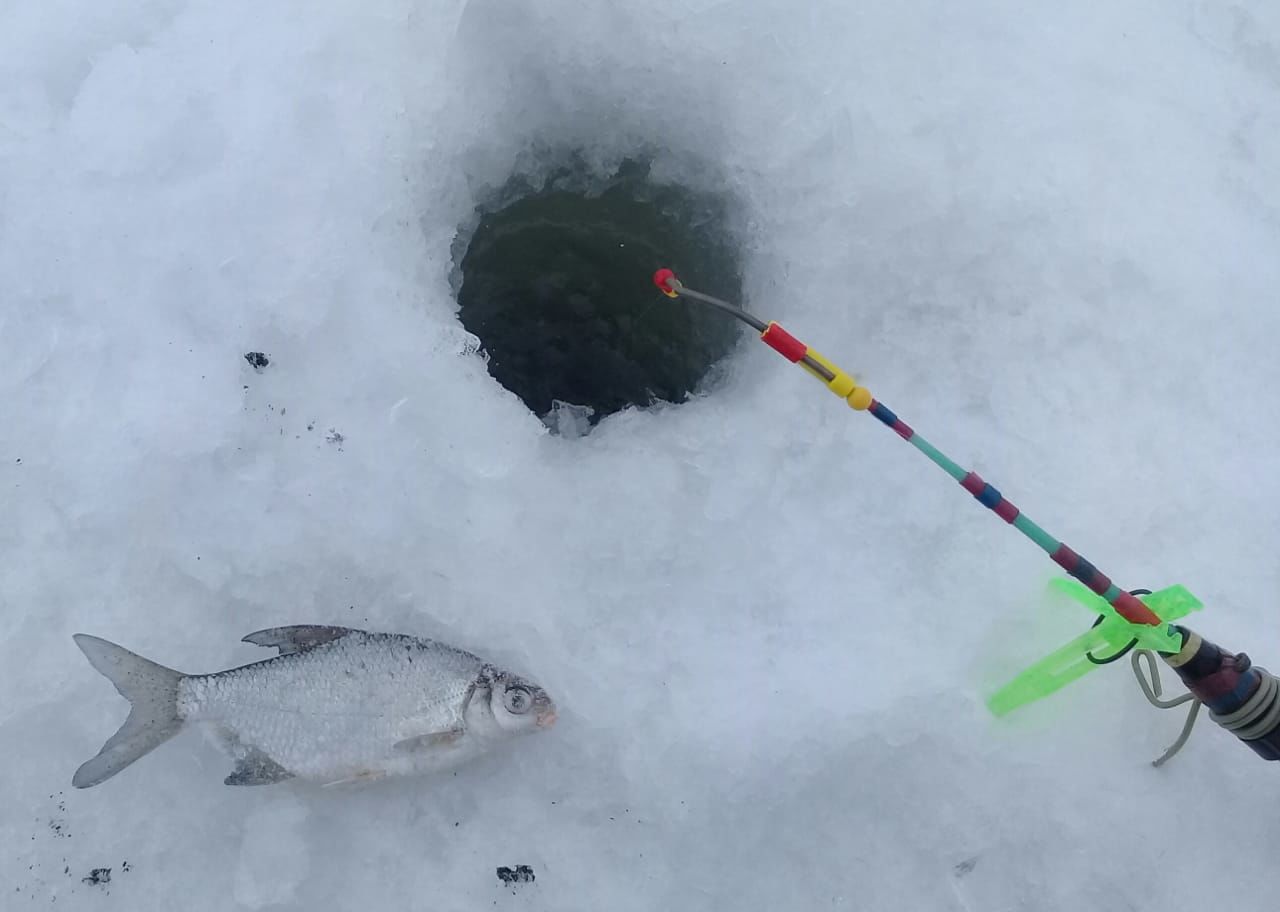 Пестречинцы зимние каникулы проводят на рыбалке