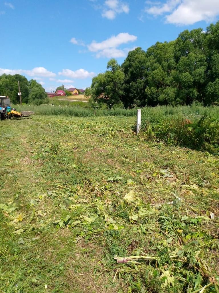 В Пестречинском районе продолжается борьба с борщевиком