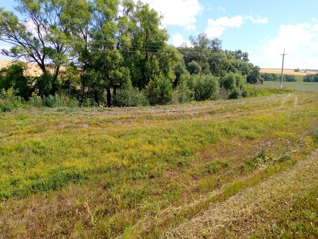 В Пестречинском районе продолжается борьба с борщевиком