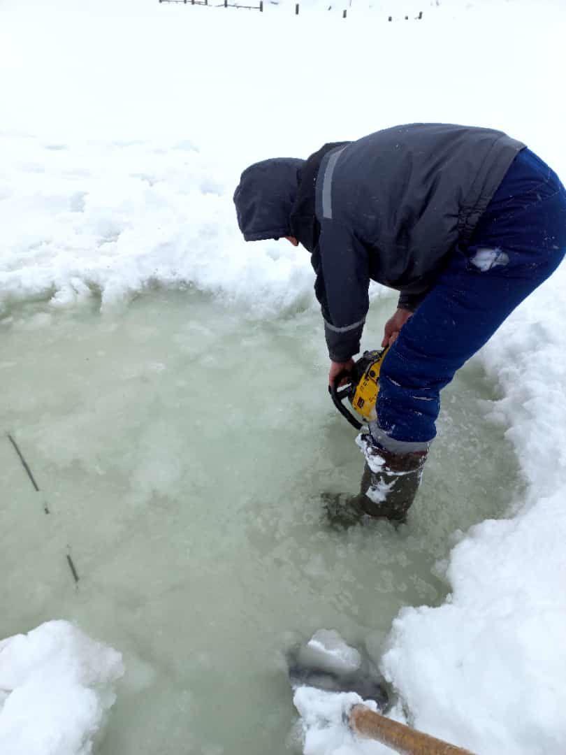 В Кощаково на реке выпиливают лёд, чтобы к рыбам поступал воздух