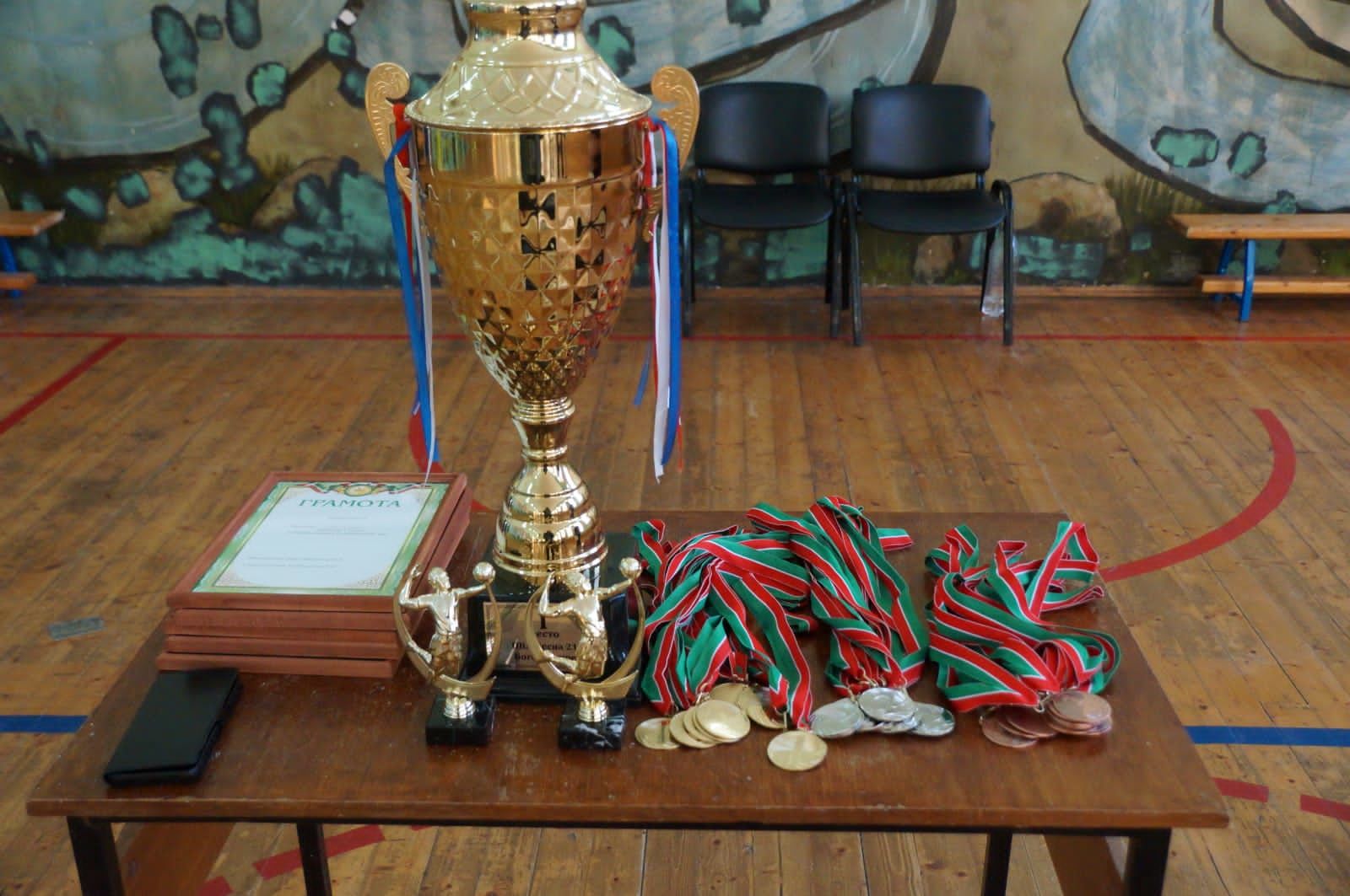Шалинцы впервые стали чемпионами района по волейболу