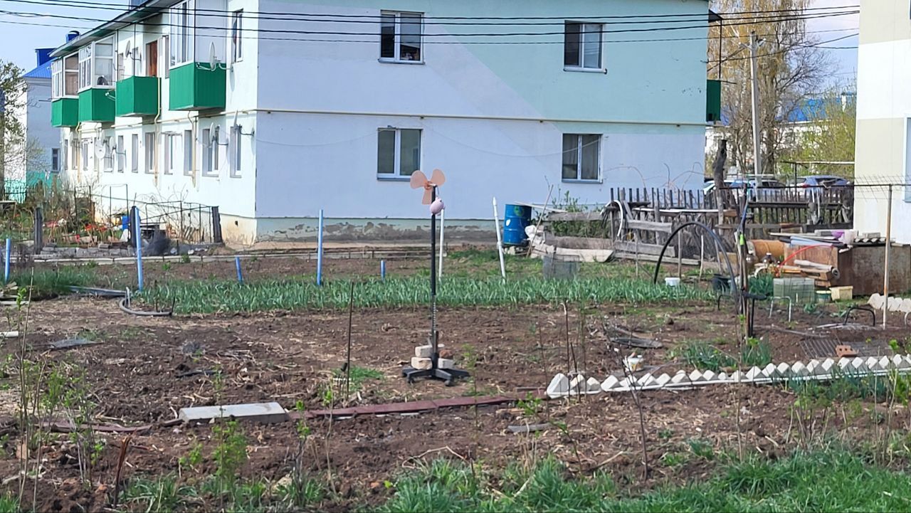 Жительница села Пестрецы пожаловалась на незаконные огороды