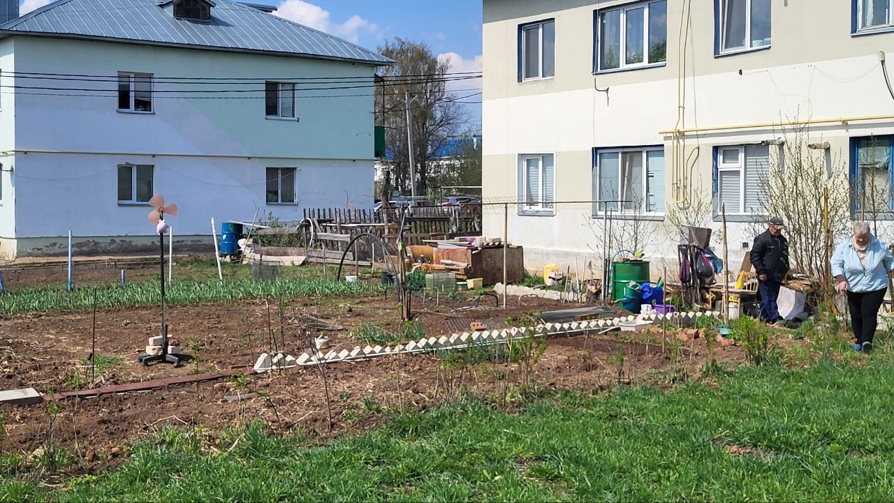 Жительница села Пестрецы пожаловалась на незаконные огороды