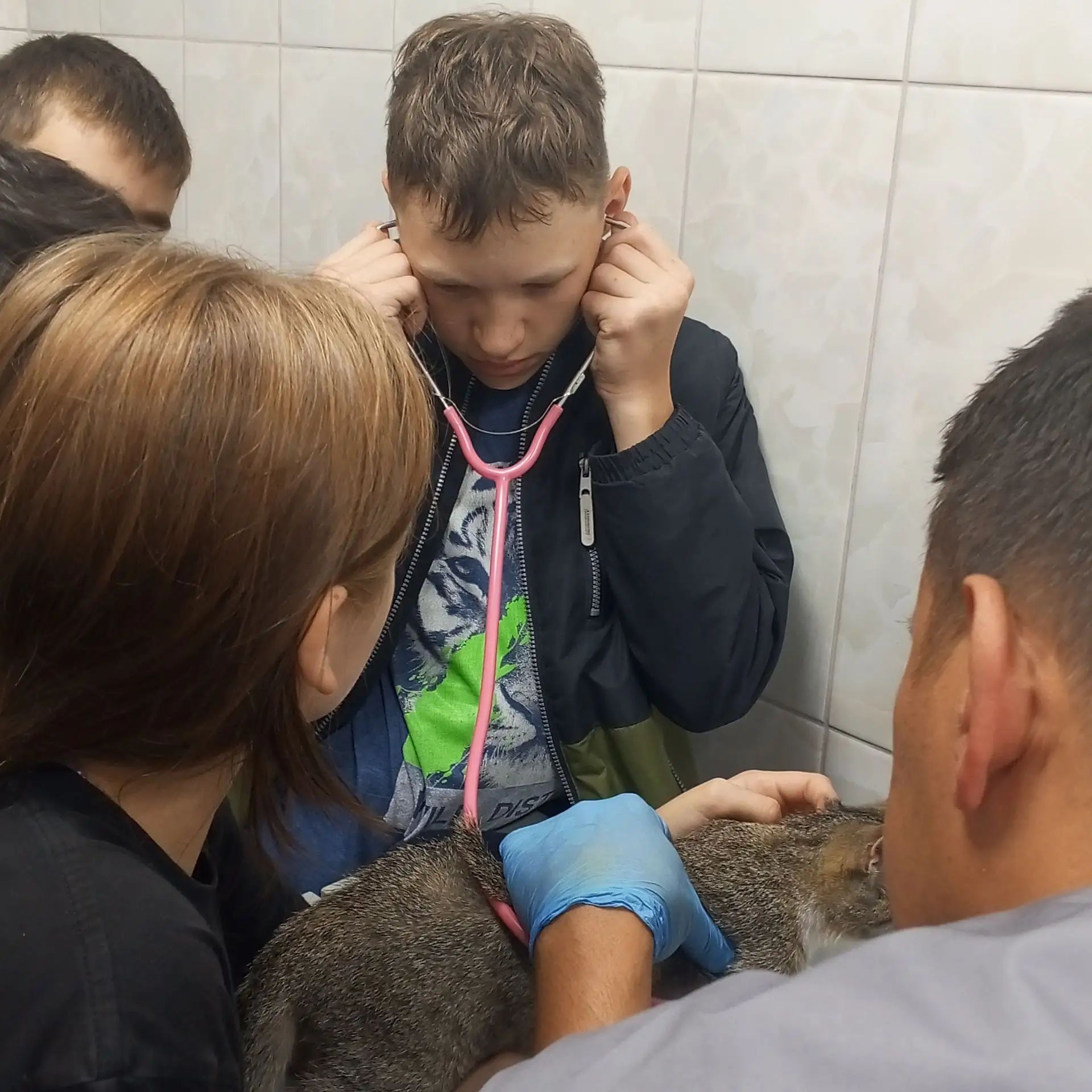 Воспитанники приюта «Шатлык» побывали в гостях у ветеринаров