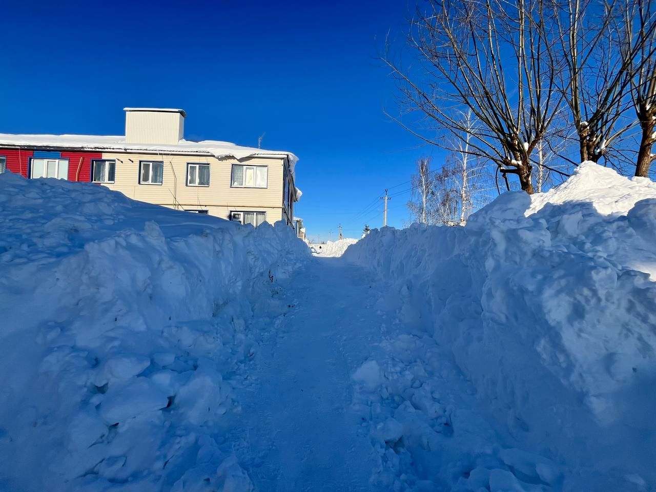 Кышкы Питрәч