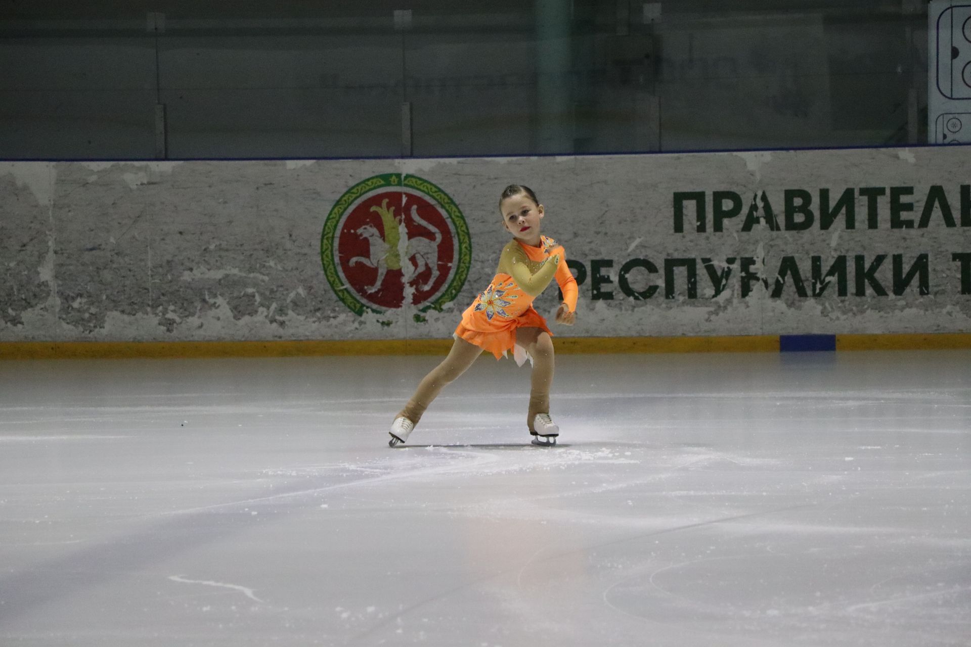 Ледовое шоу