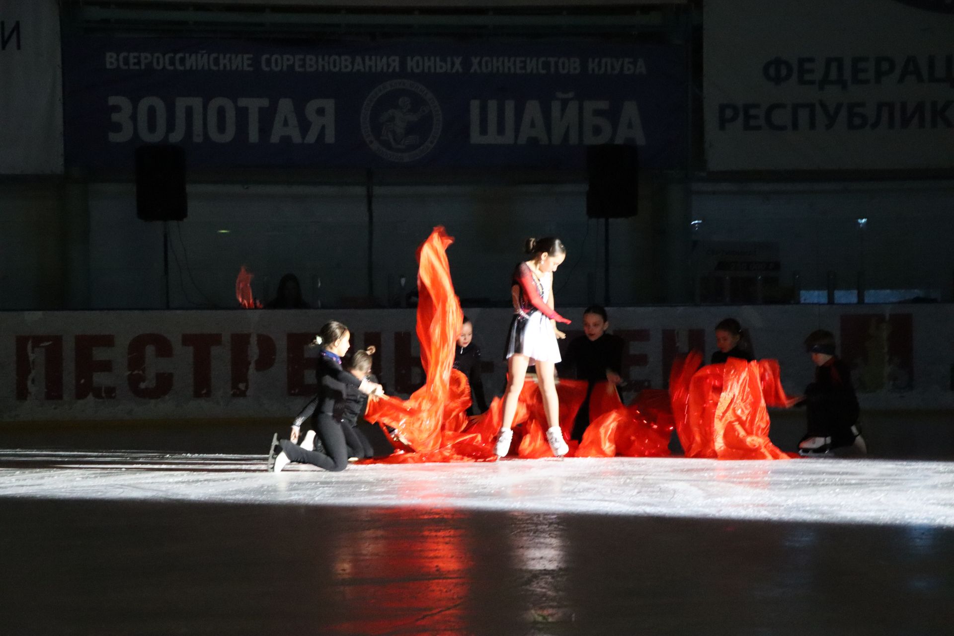 Ледовое шоу