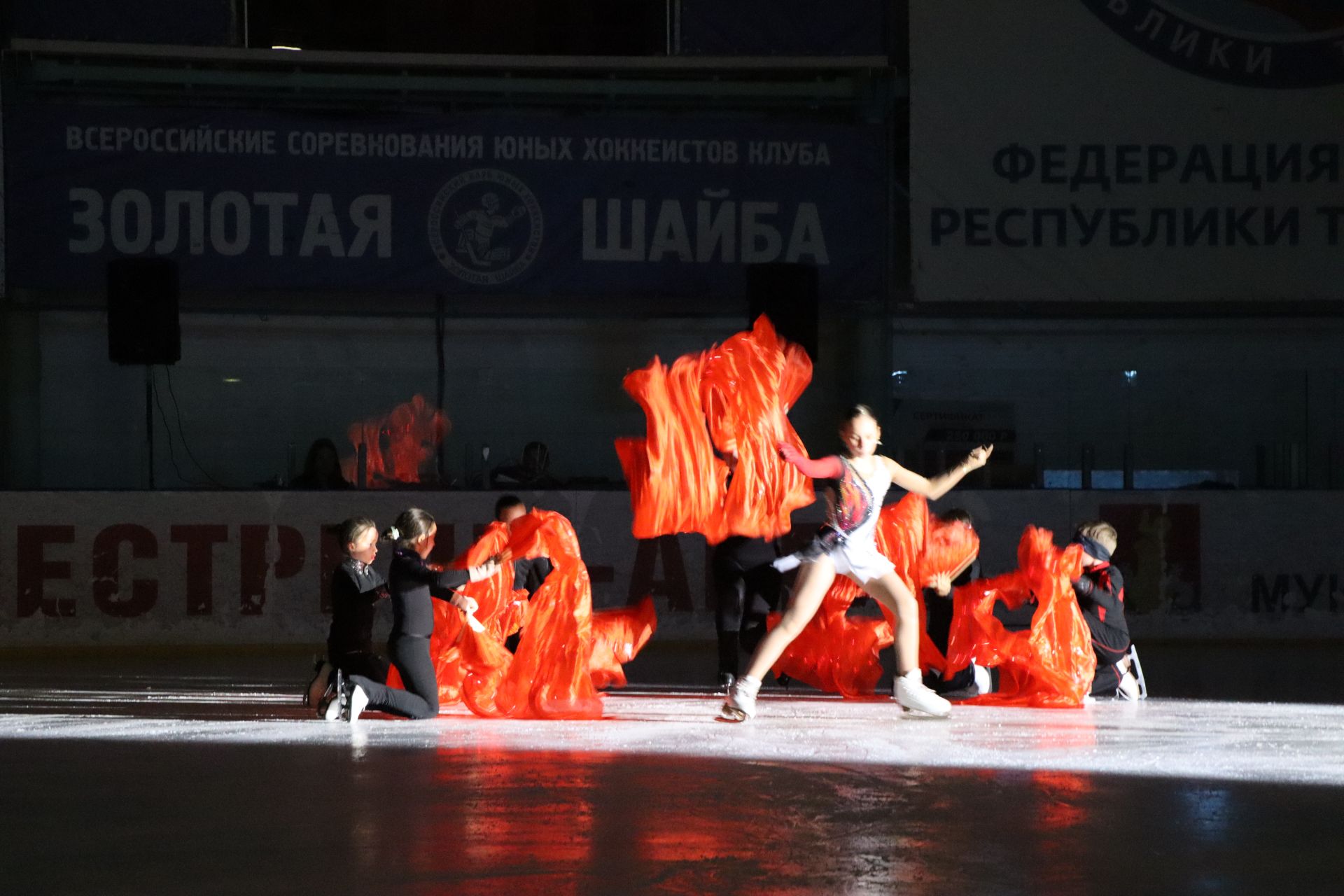 Ледовое шоу