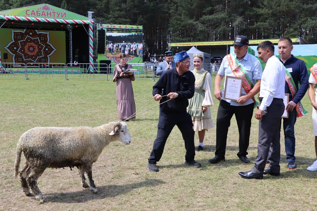 Питрәч Сабантуе