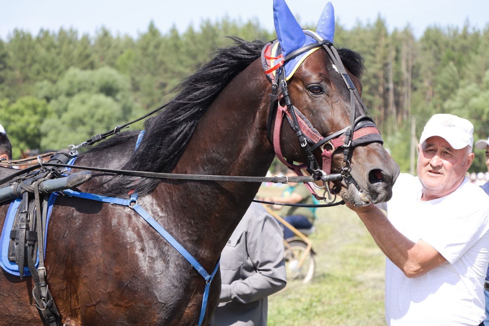 Питрәч Сабантуе