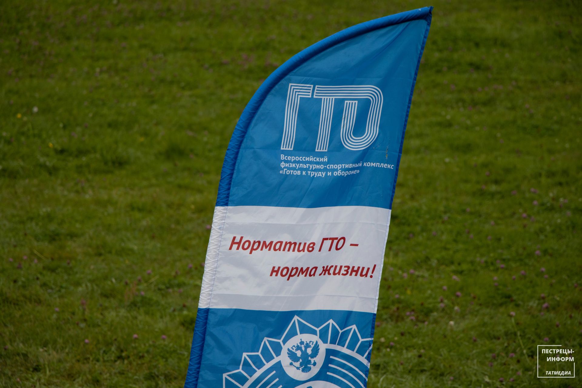 Кросс нации - 2025