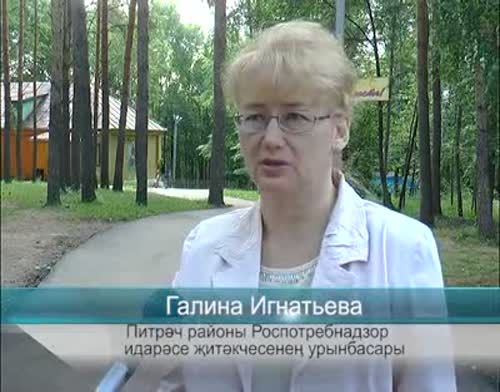 В Татарстане с начала сезона отравились грибами больше 20 человек