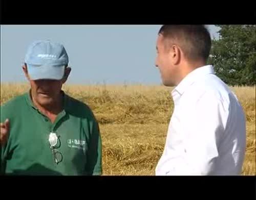 18 комбайнеров в Пестречинском районе намолотили первые десять тысяч центнеров зерна (видео) 