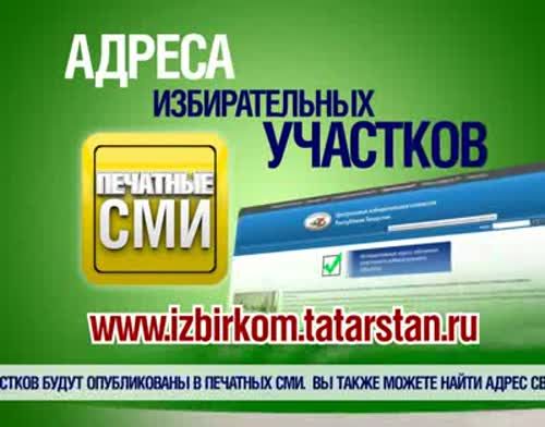 14 сентября в Татарстане пройдут выборы депутатов Государственного Совета