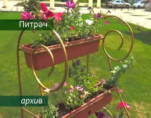 Питрәчнең яшҗ парлары яңа парк өчен “рәхмәт” әйтә