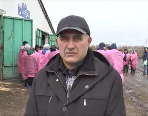 Район терлекчеләренә хайваннарның кышкы рационнарын уйлап төзергә киңәш бирелде