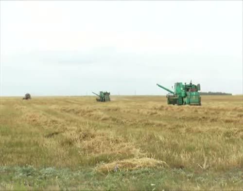 24% зерновых убрано в Пестречинском районе