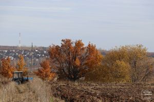 В Пестречинском районе сохранится сухая и теплая погода с порывистым ветром