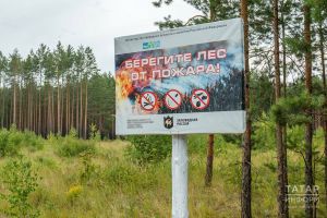 В Татарстане продлен режим высокой пожарной опасности