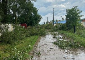 Энергетики района смогли восстановить разрушенные ураганным ветром линии в кратчайшие сроки