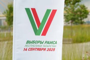 В Пестречинском районе обучат членов участковых избиркомов