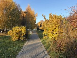 В Пестречинском районе 16 октября ожидается до +19 градусов