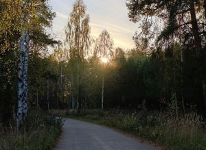 В Пестречинском районе ожидается до +15 градусов