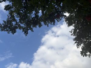 В Пестречинском районе прогнозируется переменная облачность