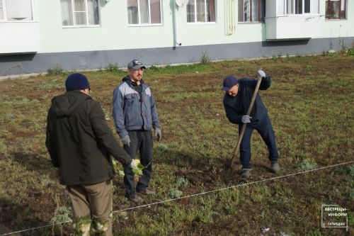 В Пестрецах посадили около 500 деревьев