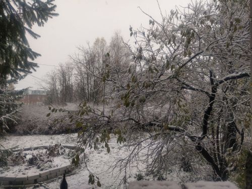 В Татарстане ожидаются туман и метель