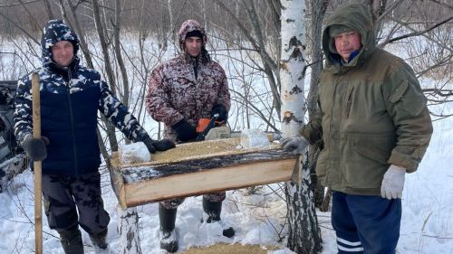 Чем сотрудники охотничьих хозяйств подкармливают лосей, косуль и зайцев