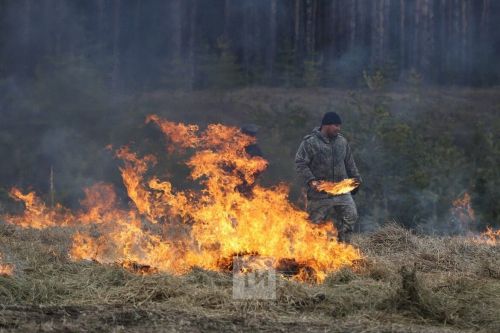 Из-за высокой пожароопасности в РТ продлен противопожарный режим