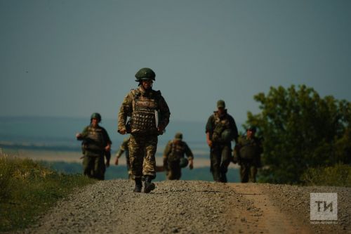 В Татарстане участники СВО бесплатно получат земельные участки