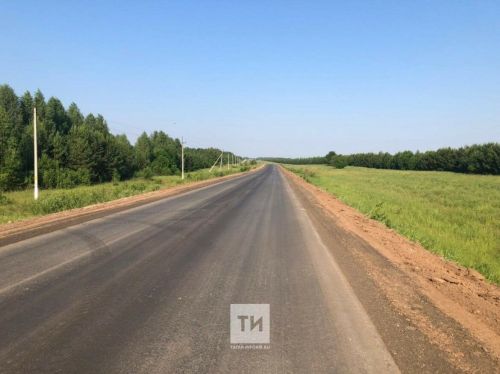 Гороховые поля повышают аварийность на пестречинских дорогах