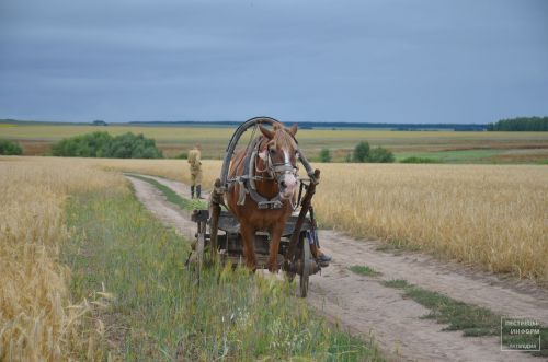 В Пестречинском районе проходят съёмки татарского фильма