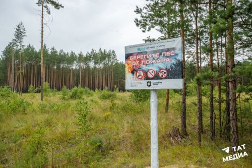 В Татарстане снова продлили ограничение на посещение лесов