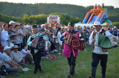 Читинцы с размахом отметили «День села»